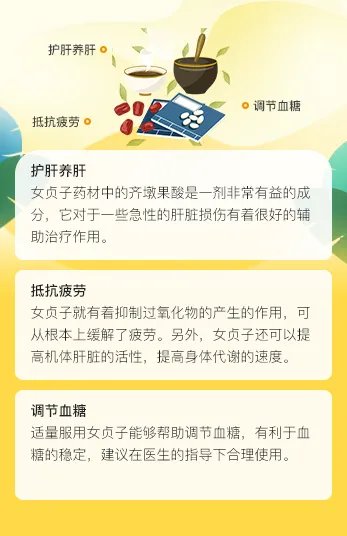 女贞子的最佳吃法