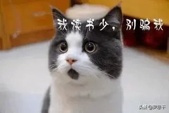 散户接力机构抄底中国电信，说明了什么？