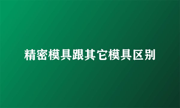 精密模具跟其它模具区别