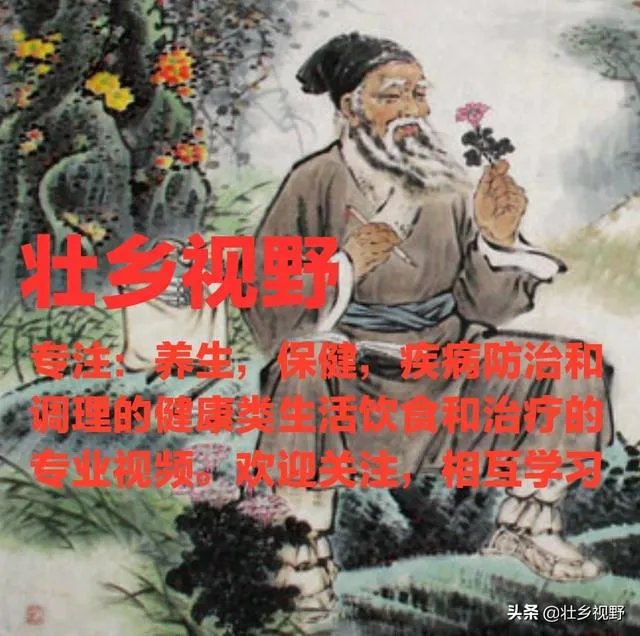 养生最好的保健品是什么？