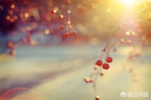 为了做自己想做的事生活在喜欢的环境,愿意抛弃眼前的事业吗?