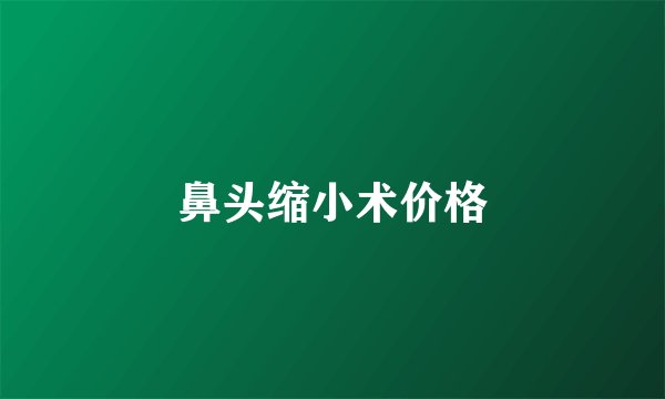 鼻头缩小术价格