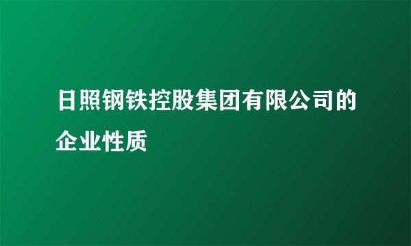 日照钢铁控股集团有限公司的企业性质