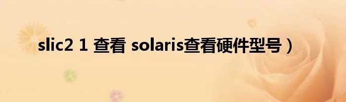 slic2 1 查看 solaris查看硬件型号）