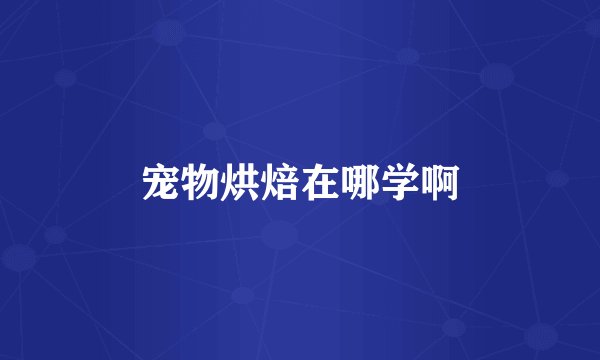 宠物烘焙在哪学啊