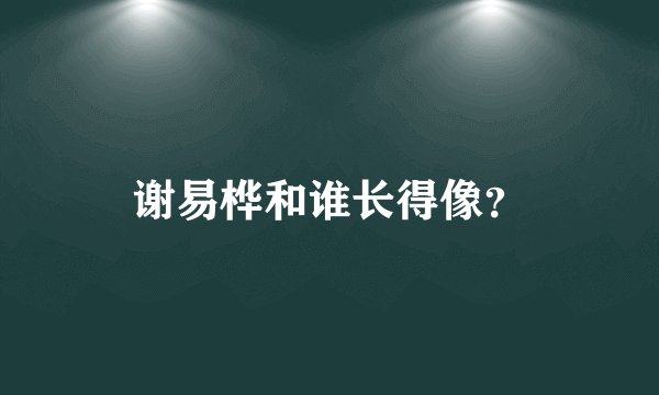 谢易桦和谁长得像？