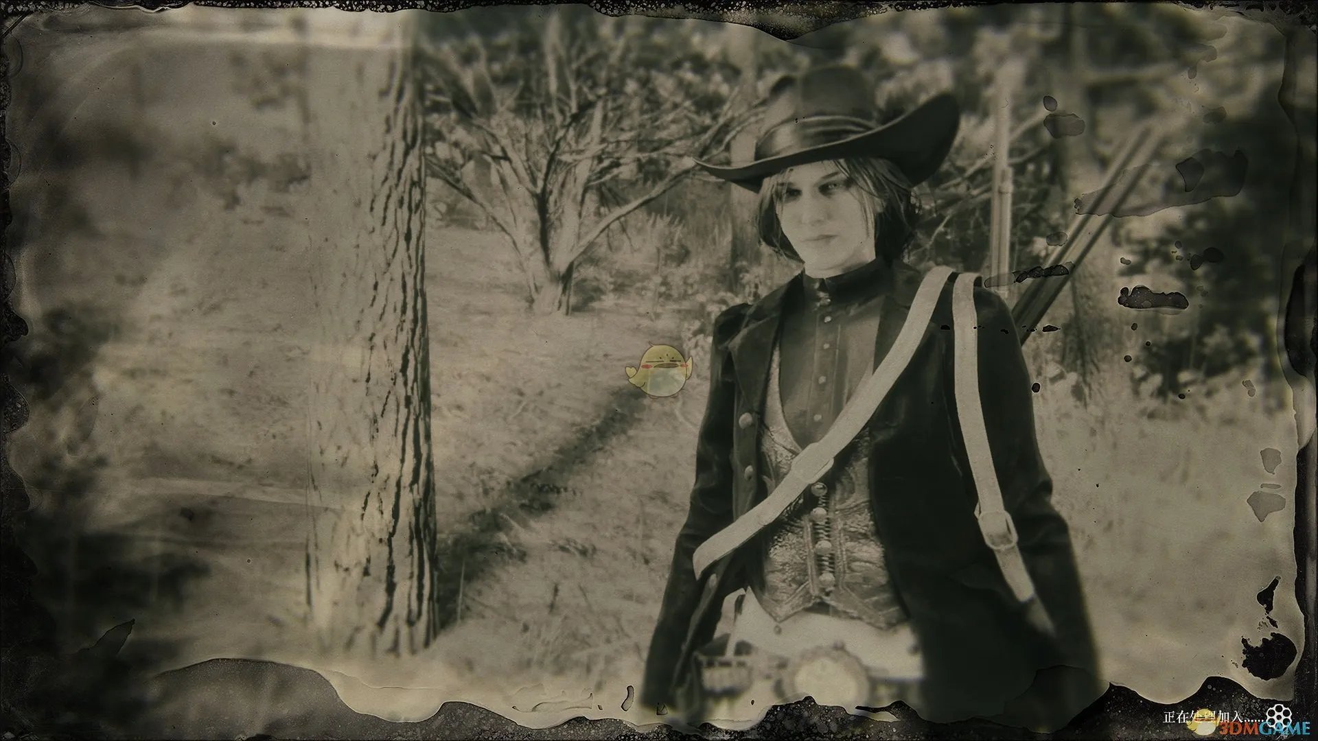 荒野大镖客2捏脸女