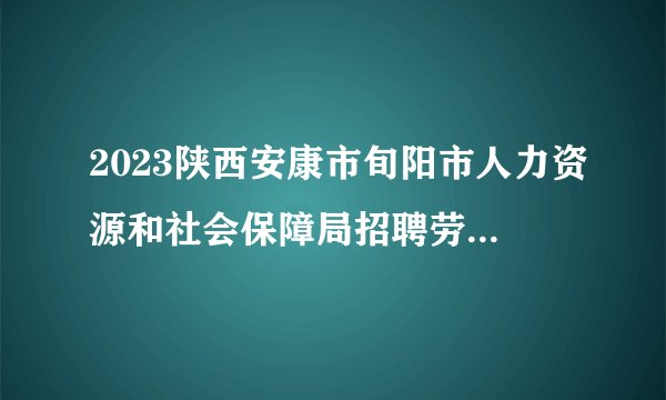 2023陕西安康市旬阳市人力资源和社会保障局招聘劳动保障协理员35人公告