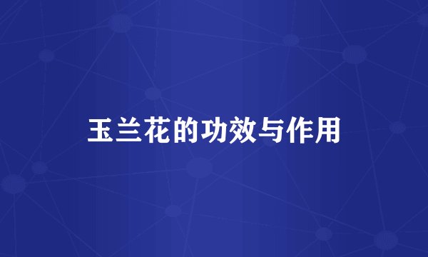 玉兰花的功效与作用