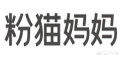 孕妇装的品牌有哪些?