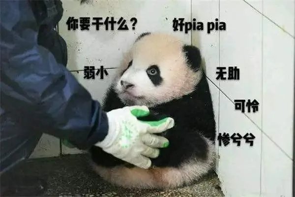 有哪些古人拿来“开车”的句子或诗词？