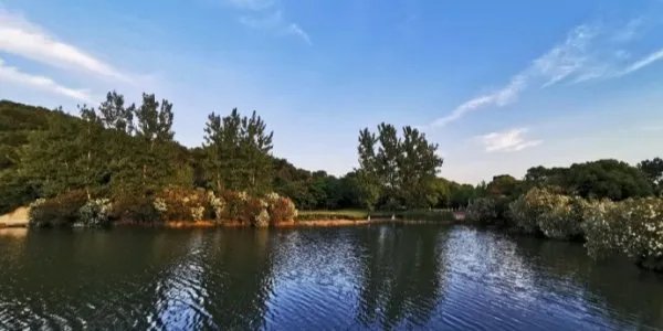 邯郸十大免费景点大全