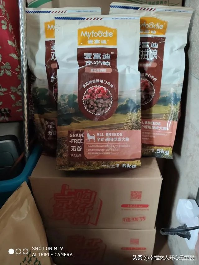 养一只柯基一年大概要多少钱？