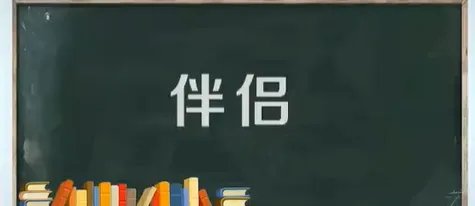 伴侣的拼音