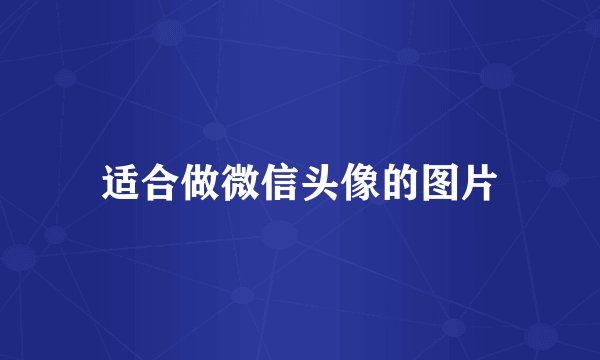 适合做微信头像的图片