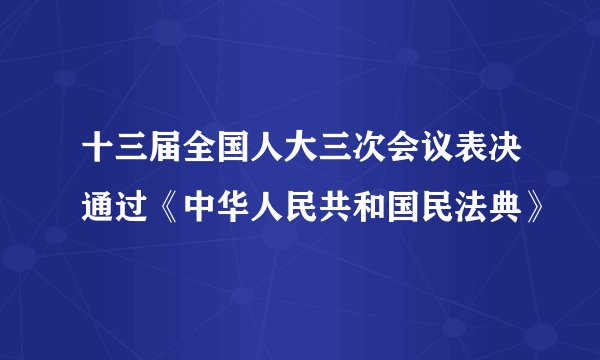 十三届全国人大三次会议表决通过《中华人民共和国民法典》