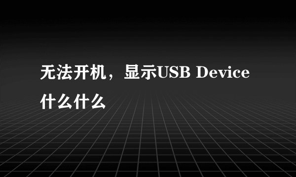 无法开机，显示USB Device什么什么