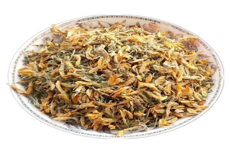 阳雀花图片大全