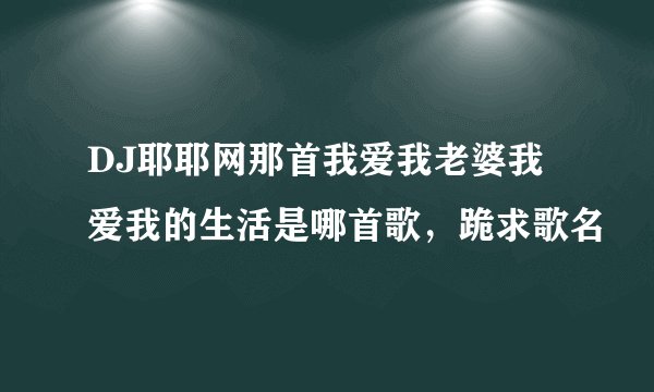 DJ耶耶网那首我爱我老婆我爱我的生活是哪首歌，跪求歌名