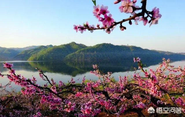 蒋大为唱的那首《在那桃花盛开的地方》，到底是哪个地方？