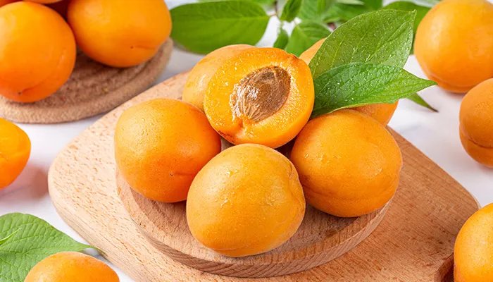 鄂尔多斯特产有哪些 鄂尔多斯有哪些特产