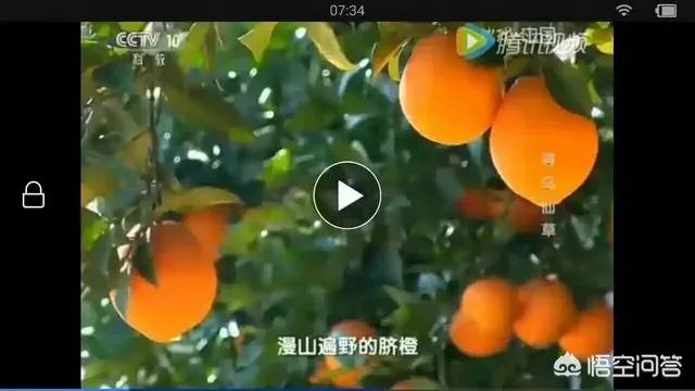 江西赣南脐橙和四川的