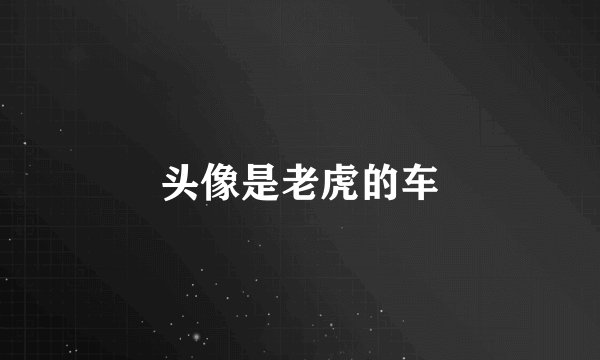 头像是老虎的车