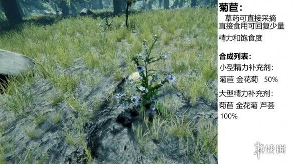 《森林》游戏植物有什么 the forest植物图鉴分享