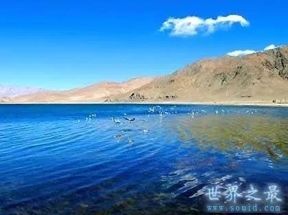 中国海拔最高的湖在