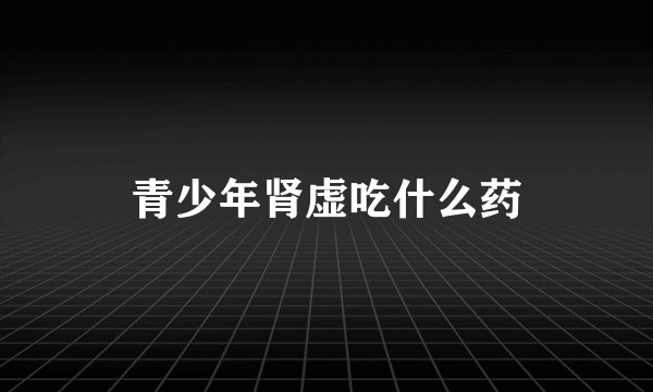 青少年肾虚吃什么药