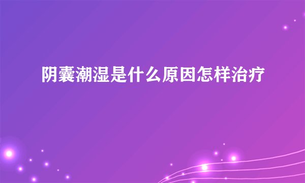 阴囊潮湿是什么原因怎样治疗