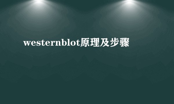 westernblot原理及步骤