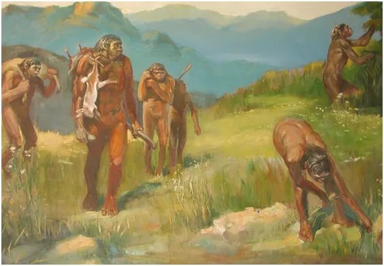 北京人和山顶洞人的区别？谁更早？