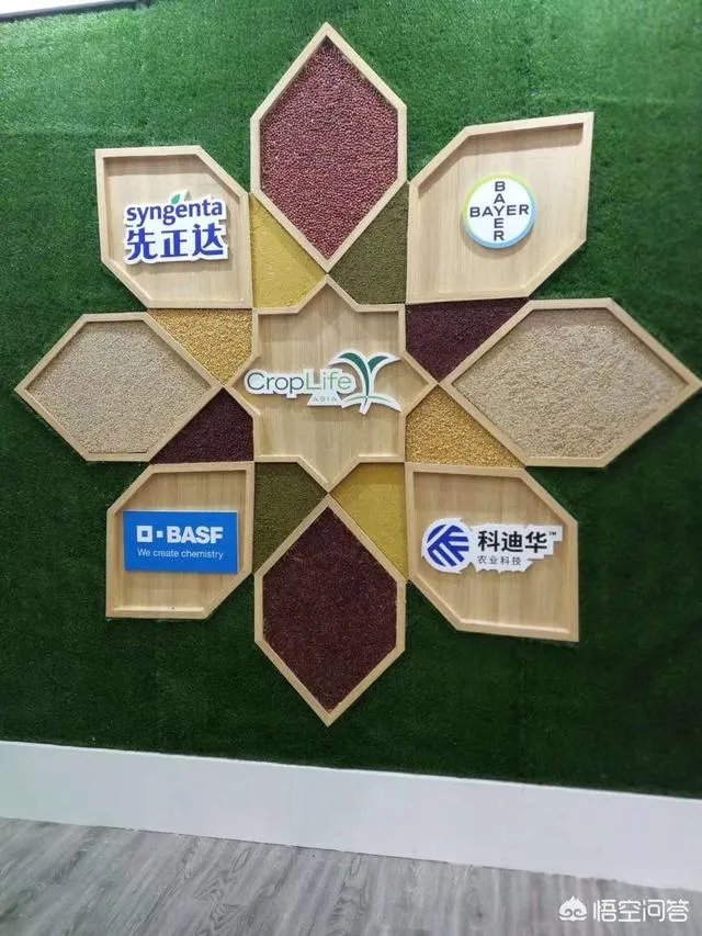 杨凌农高会有哪些新品种?