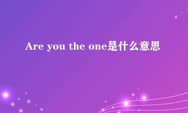 Are you the one是什么意思