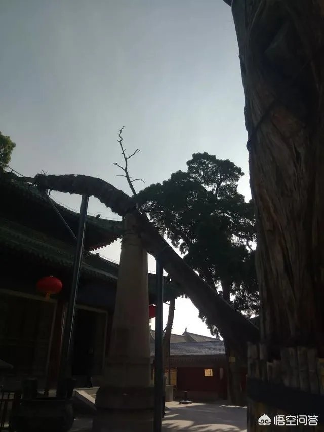 天水有哪些主要景点？