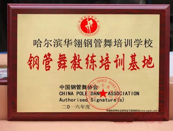 中国网络视听节目服务协会的理事成员