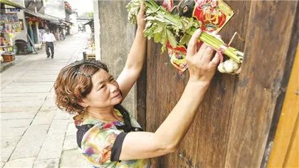 端午节为什么挂艾草