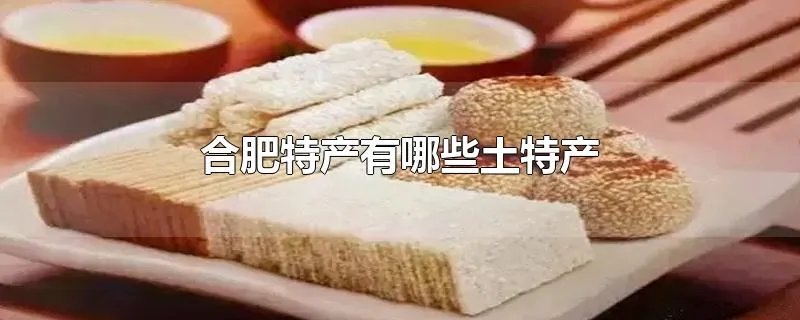 合肥特产有哪些土特产