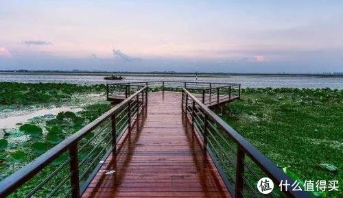 阳澄湖景区游玩攻略 阳澄湖莲花岛全攻略