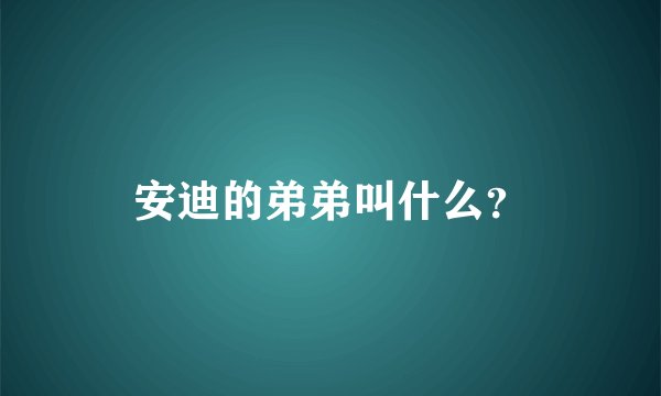 安迪的弟弟叫什么？