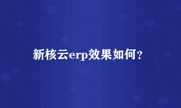 新核云erp效果如何？