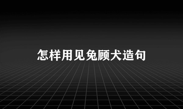 怎样用见兔顾犬造句