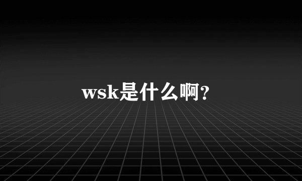 wsk是什么啊？