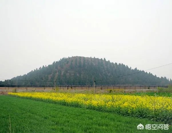 如何看待陕西省兴平市的未来发展？