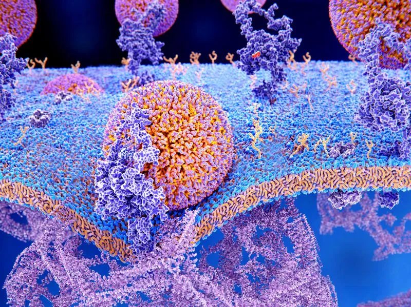 叶酸什么时候吃比较好