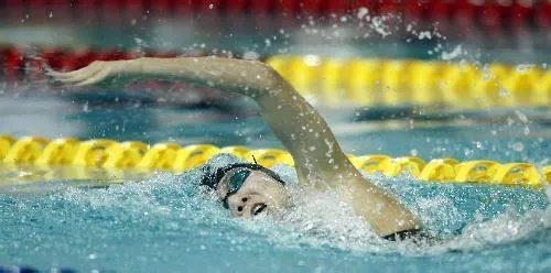 怎么学习自由游？