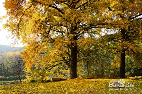 2017年十一长假怎么过？