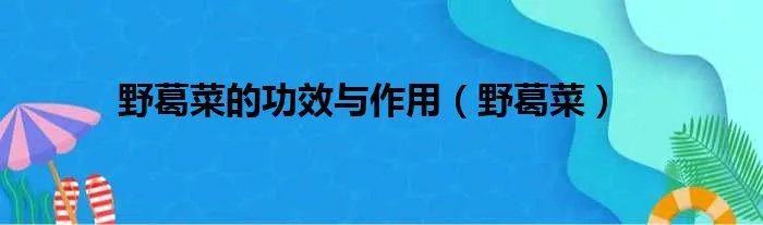 野葛菜的功效与作用（野葛菜）