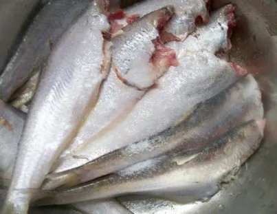 黄鲫子鱼怎么炒